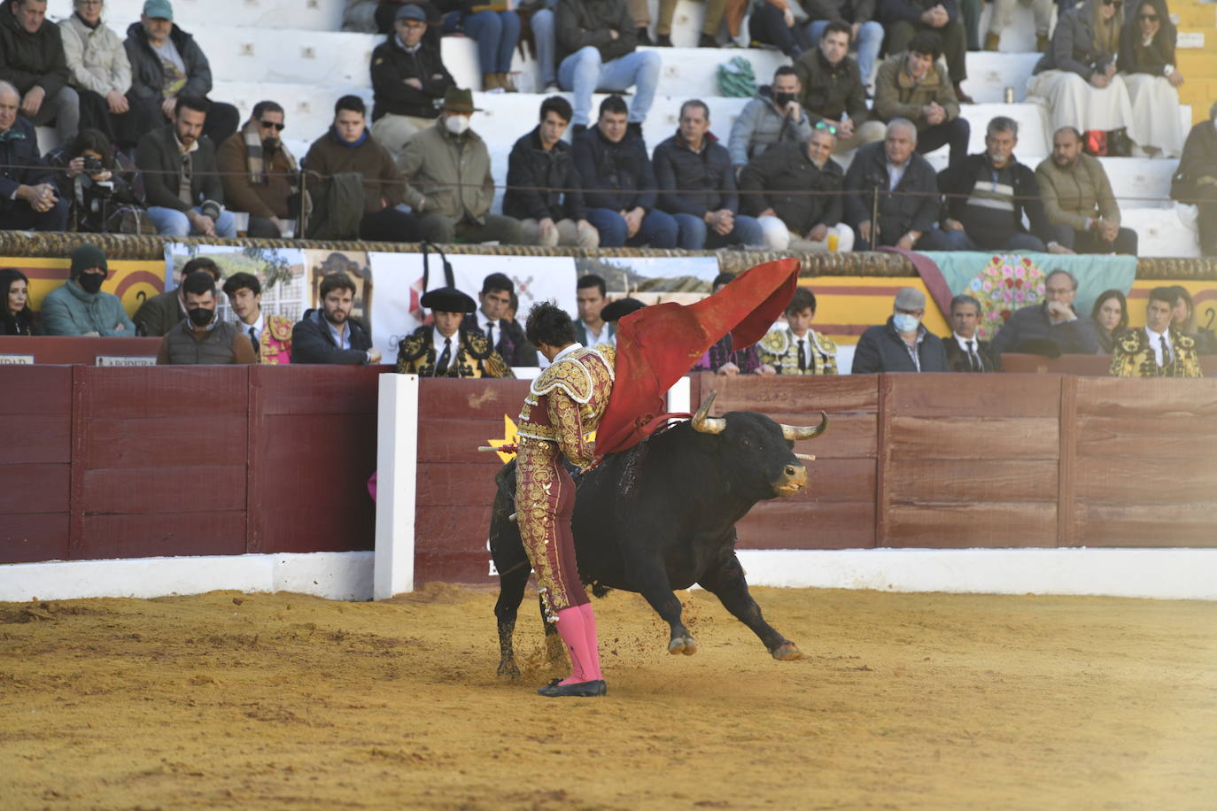 Fotos: Primer festejo de la Feria de Olivenza: Novillada con Carlos Domínguez, Manuel Perera y Eric Olivera