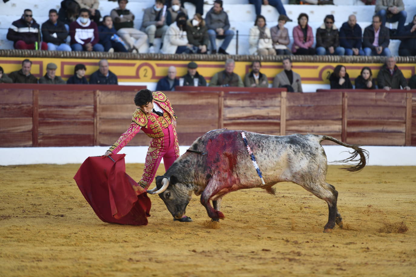 Fotos: Primer festejo de la Feria de Olivenza: Novillada con Carlos Domínguez, Manuel Perera y Eric Olivera