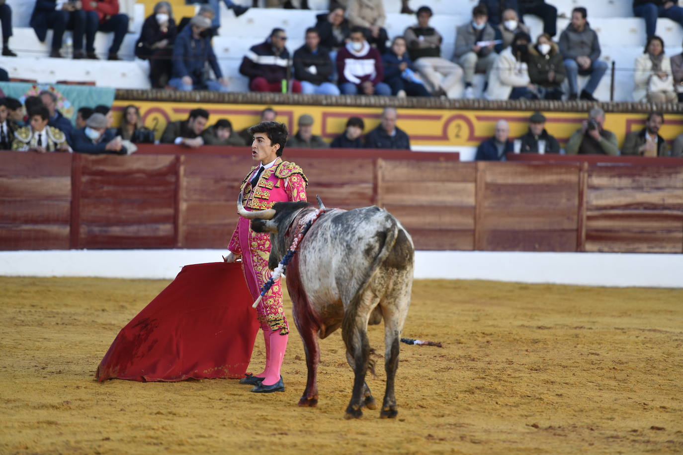 Fotos: Primer festejo de la Feria de Olivenza: Novillada con Carlos Domínguez, Manuel Perera y Eric Olivera