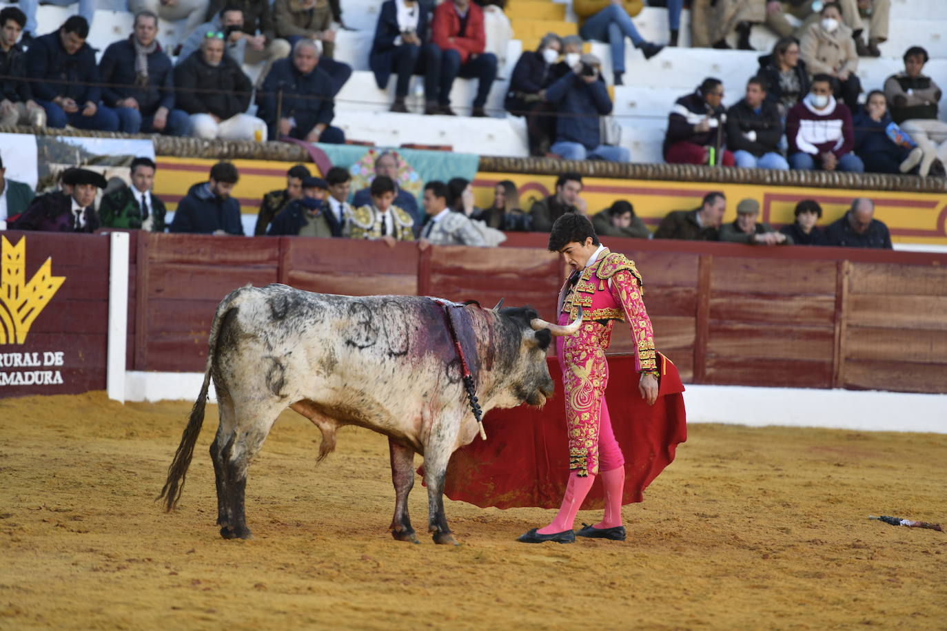 Fotos: Primer festejo de la Feria de Olivenza: Novillada con Carlos Domínguez, Manuel Perera y Eric Olivera