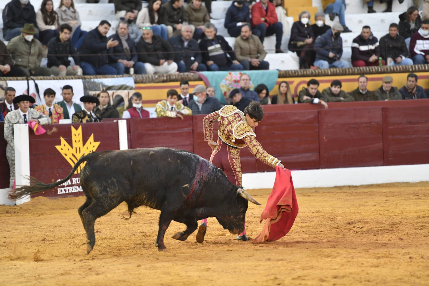 Fotos: Primer festejo de la Feria de Olivenza: Novillada con Carlos Domínguez, Manuel Perera y Eric Olivera