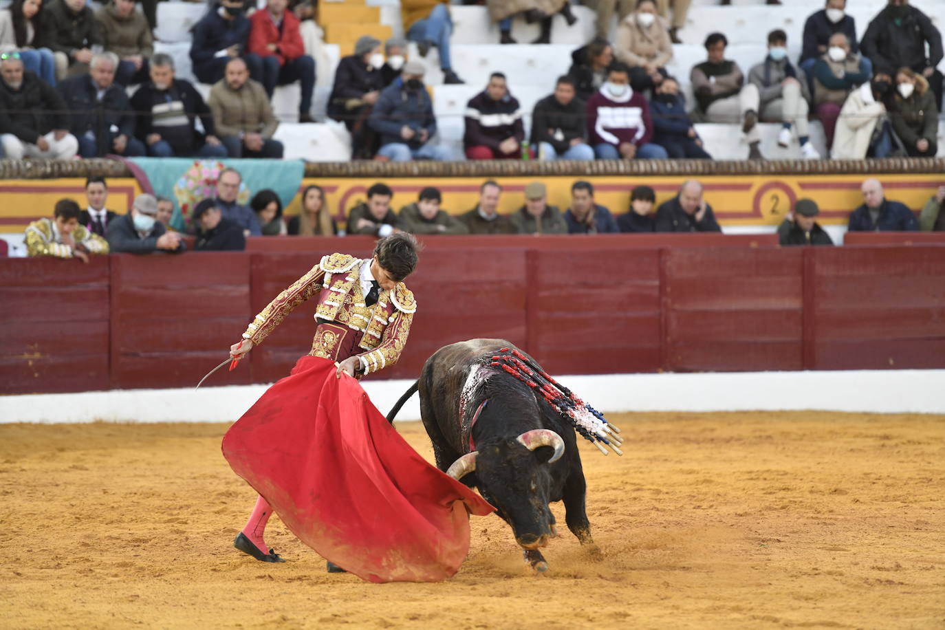 Fotos: Primer festejo de la Feria de Olivenza: Novillada con Carlos Domínguez, Manuel Perera y Eric Olivera