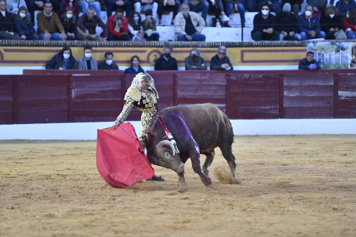 Fotos: Segunda novillada de Olivenza: Lalo de María, Alejandro Adame y Raquel Martín