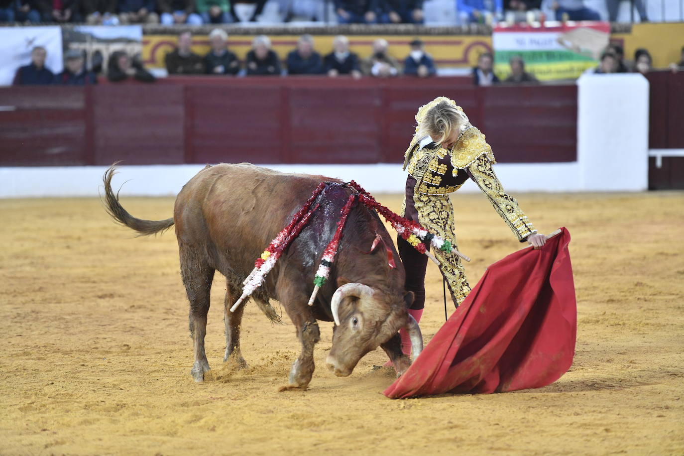 Fotos: Segunda novillada de Olivenza: Lalo de María, Alejandro Adame y Raquel Martín