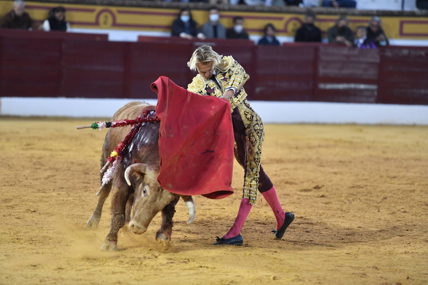 Fotos: Segunda novillada de Olivenza: Lalo de María, Alejandro Adame y Raquel Martín