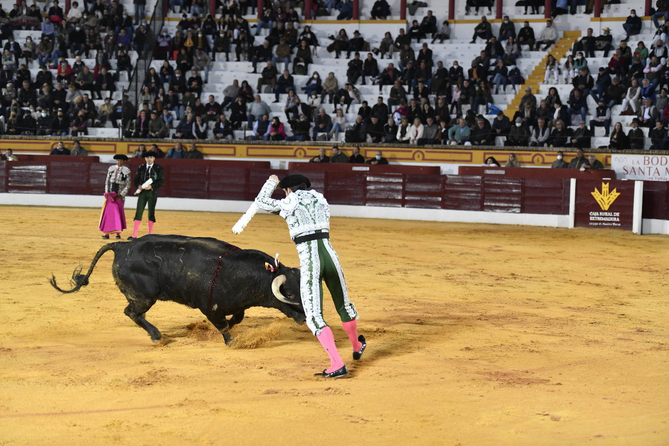 Fotos: Segunda novillada de Olivenza: Lalo de María, Alejandro Adame y Raquel Martín