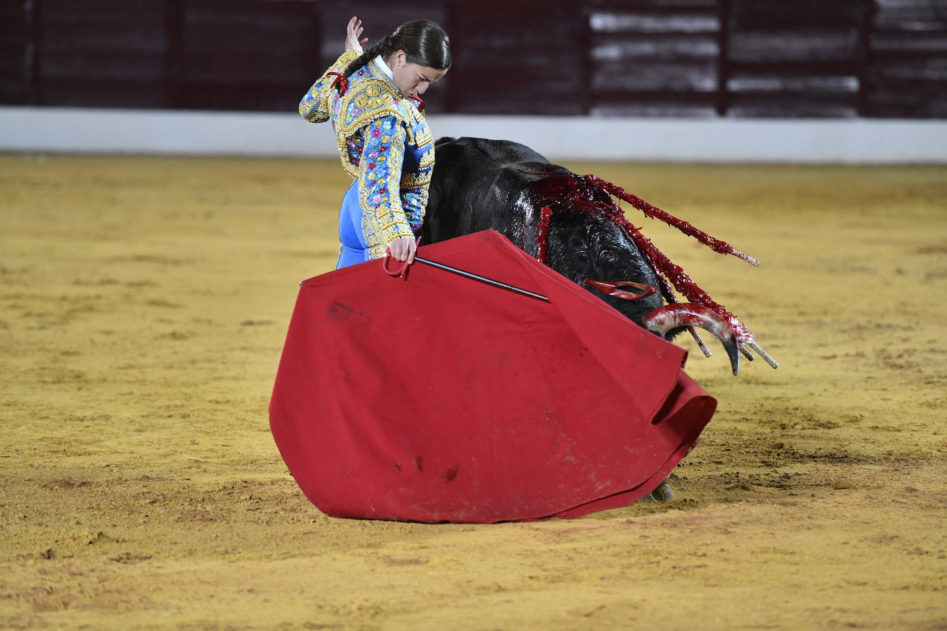 Fotos: Segunda novillada de Olivenza: Lalo de María, Alejandro Adame y Raquel Martín