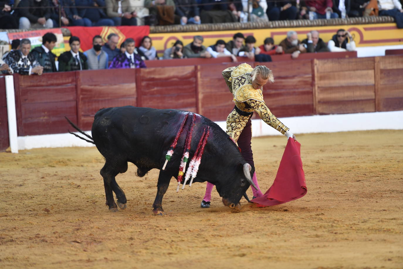 Fotos: Segunda novillada de Olivenza: Lalo de María, Alejandro Adame y Raquel Martín