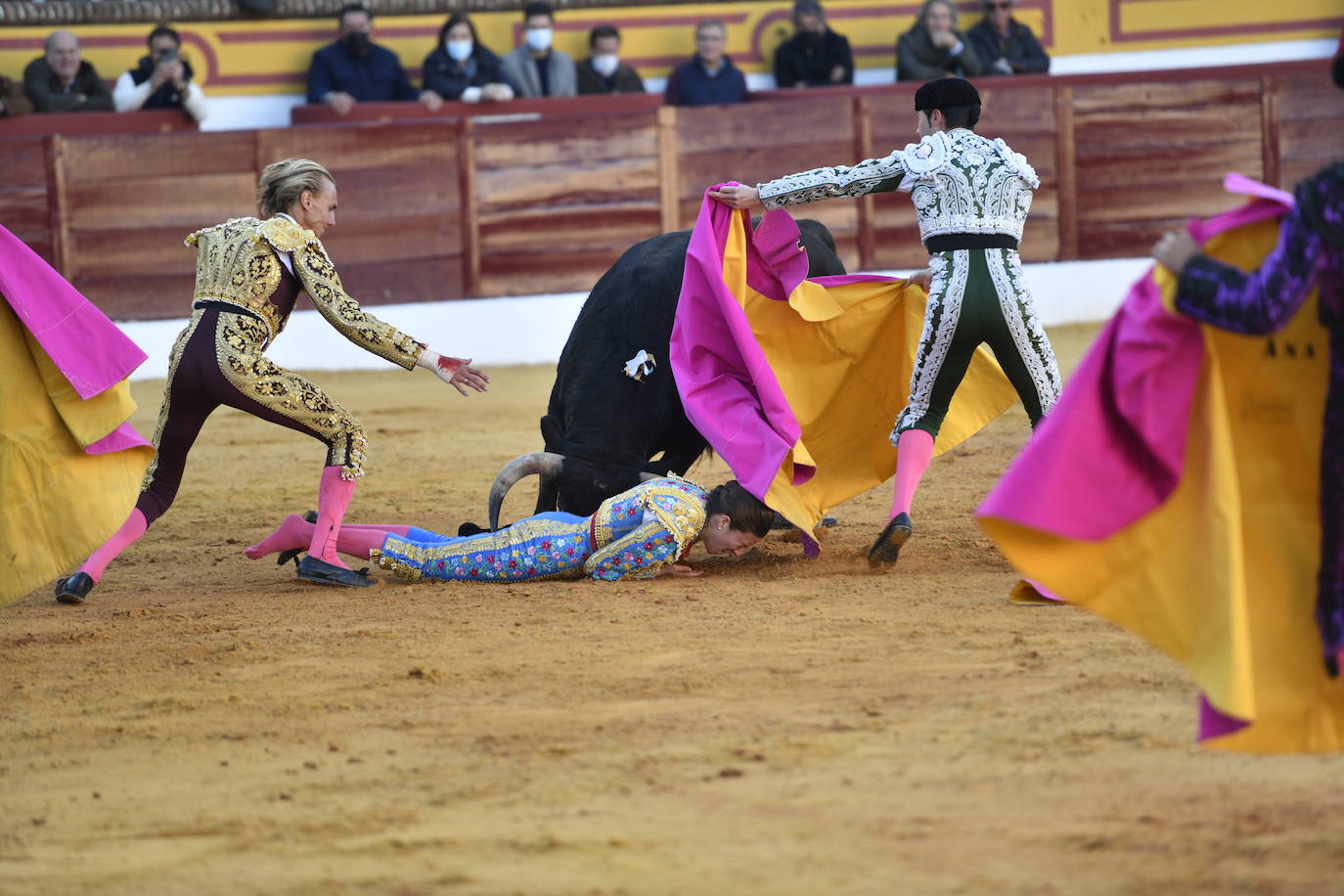 Fotos: Segunda novillada de Olivenza: Lalo de María, Alejandro Adame y Raquel Martín