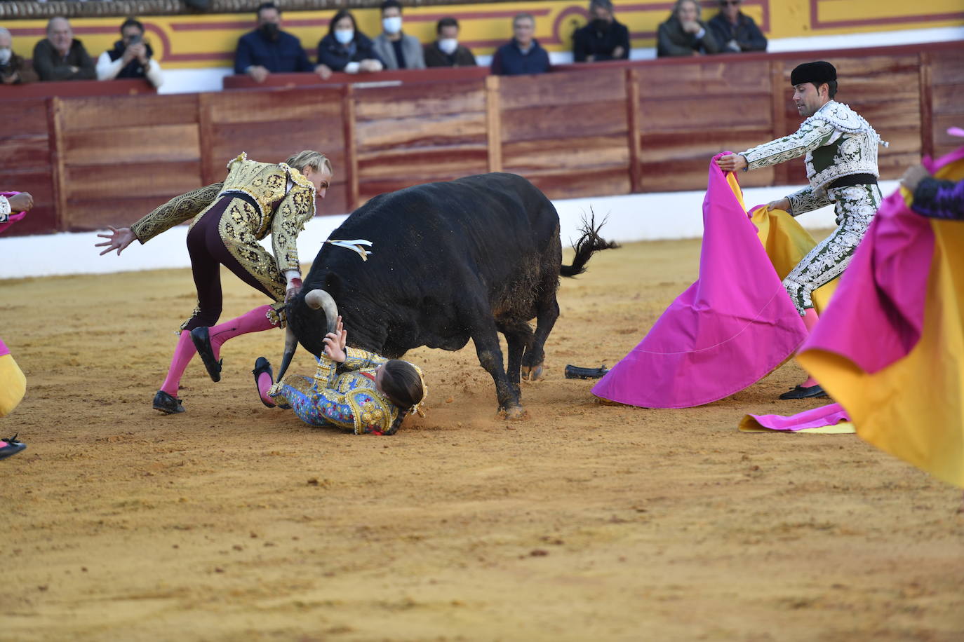 Fotos: Segunda novillada de Olivenza: Lalo de María, Alejandro Adame y Raquel Martín