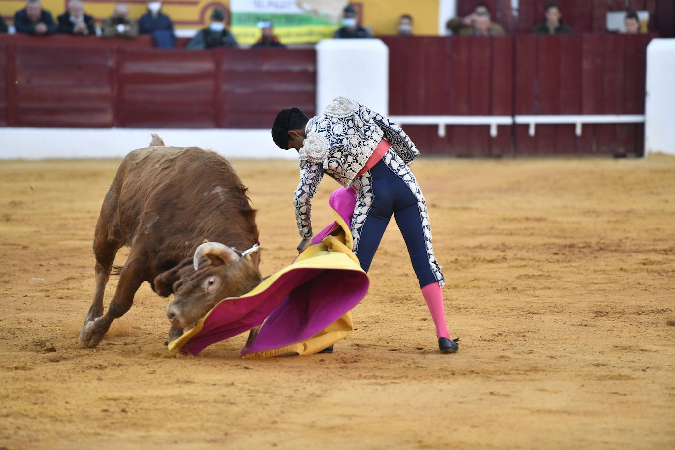 Fotos: Segunda novillada de Olivenza: Lalo de María, Alejandro Adame y Raquel Martín