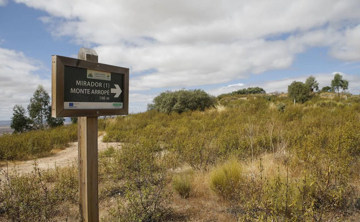 Desproteger un sitio de la red Natura 2000: misión casi imposible 