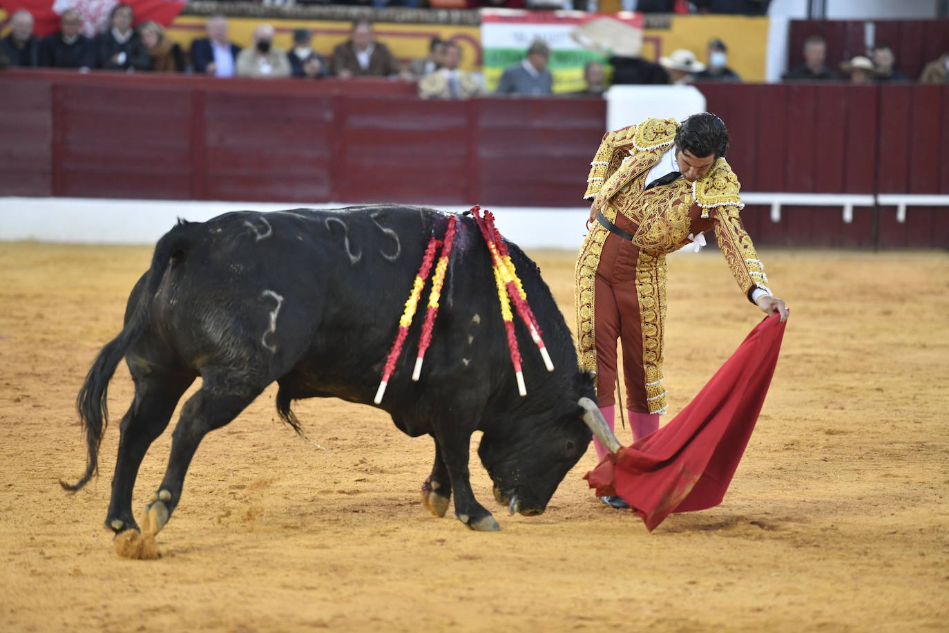 Fotos: En imágenes | La primera corrida de toros de Olivenza con Morante de la Puebla, El Juli y Emilio de Justo