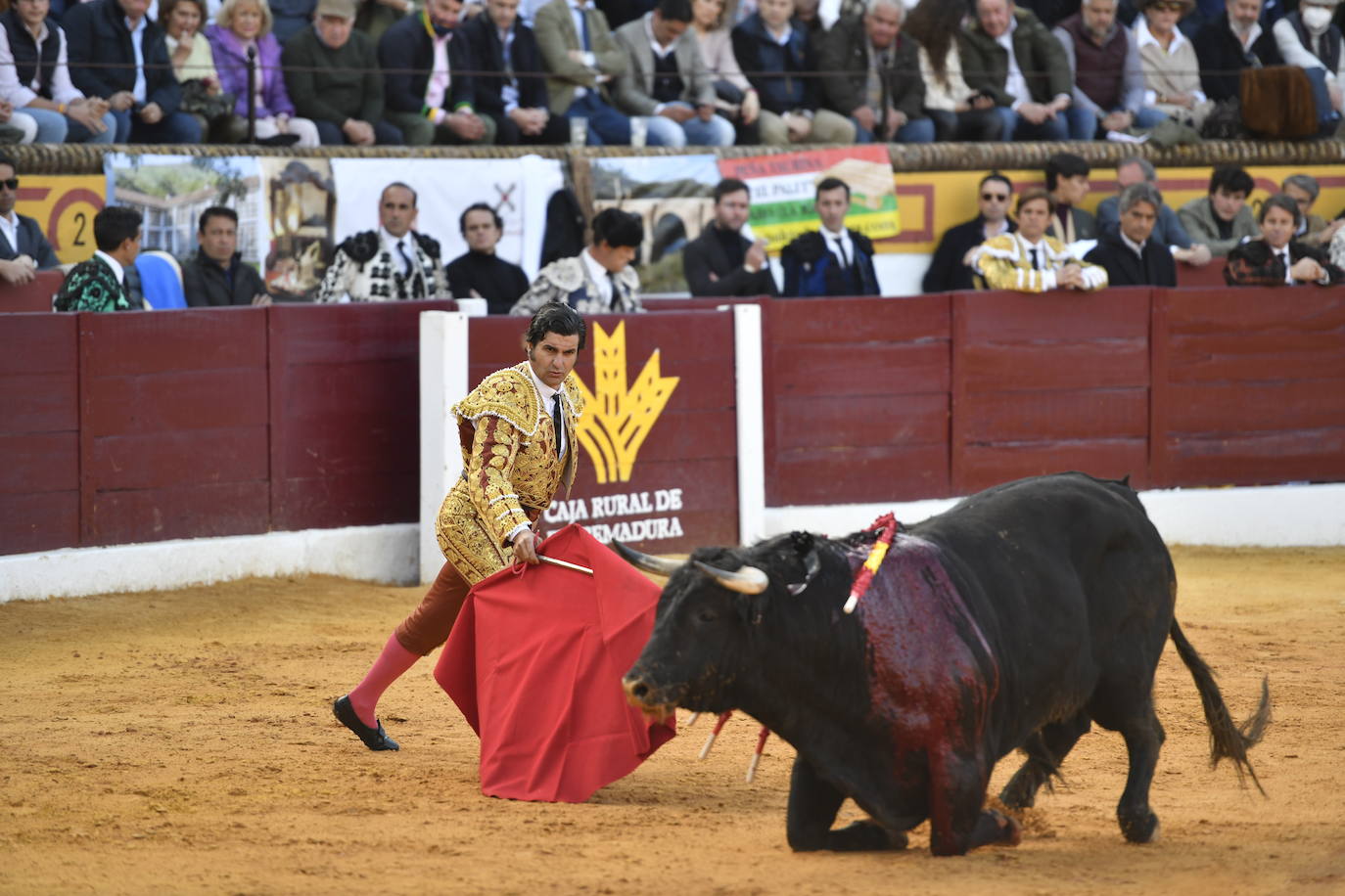 Fotos: En imágenes | La primera corrida de toros de Olivenza con Morante de la Puebla, El Juli y Emilio de Justo