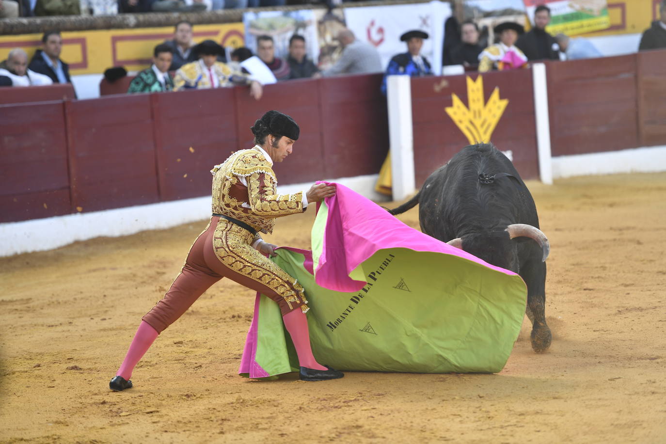 Fotos: En imágenes | La primera corrida de toros de Olivenza con Morante de la Puebla, El Juli y Emilio de Justo