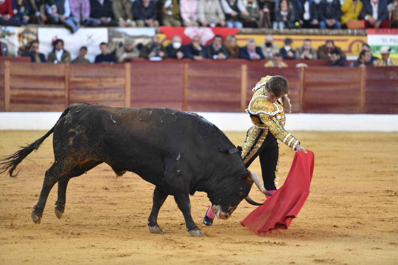 Fotos: En imágenes | La primera corrida de toros de Olivenza con Morante de la Puebla, El Juli y Emilio de Justo