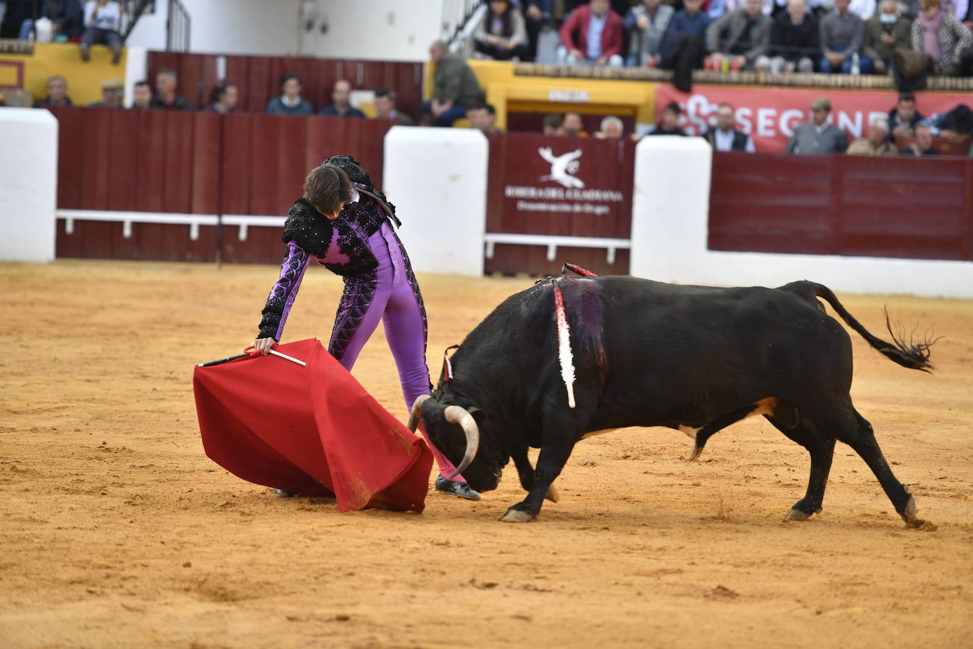 Fotos: La corrida de toros de Morante de la Puebla, José María Manzanares y Roca Rey, en imágenes