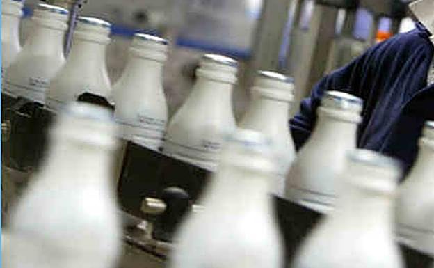 La industria láctea paraliza su actividad a partir de este jueves por la huelga de transportes
