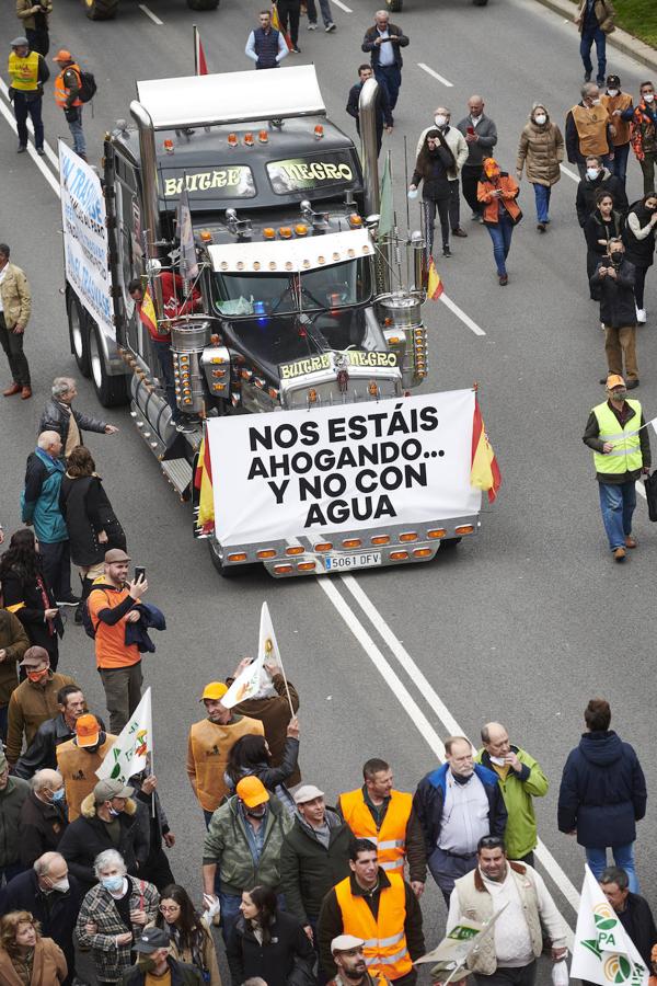 Fotos: El mundo rural extremeño exhibe fuerza en Madrid