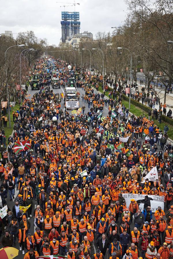 Fotos: El mundo rural extremeño exhibe fuerza en Madrid
