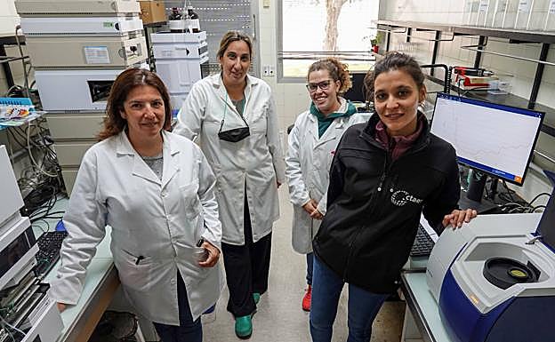 De izq. a dcha. el equipo de investigación del Ctaex: Raquel Rodríguez, Montserrat Gómez-Cardoso, Míriam Herrera y María Pérez.