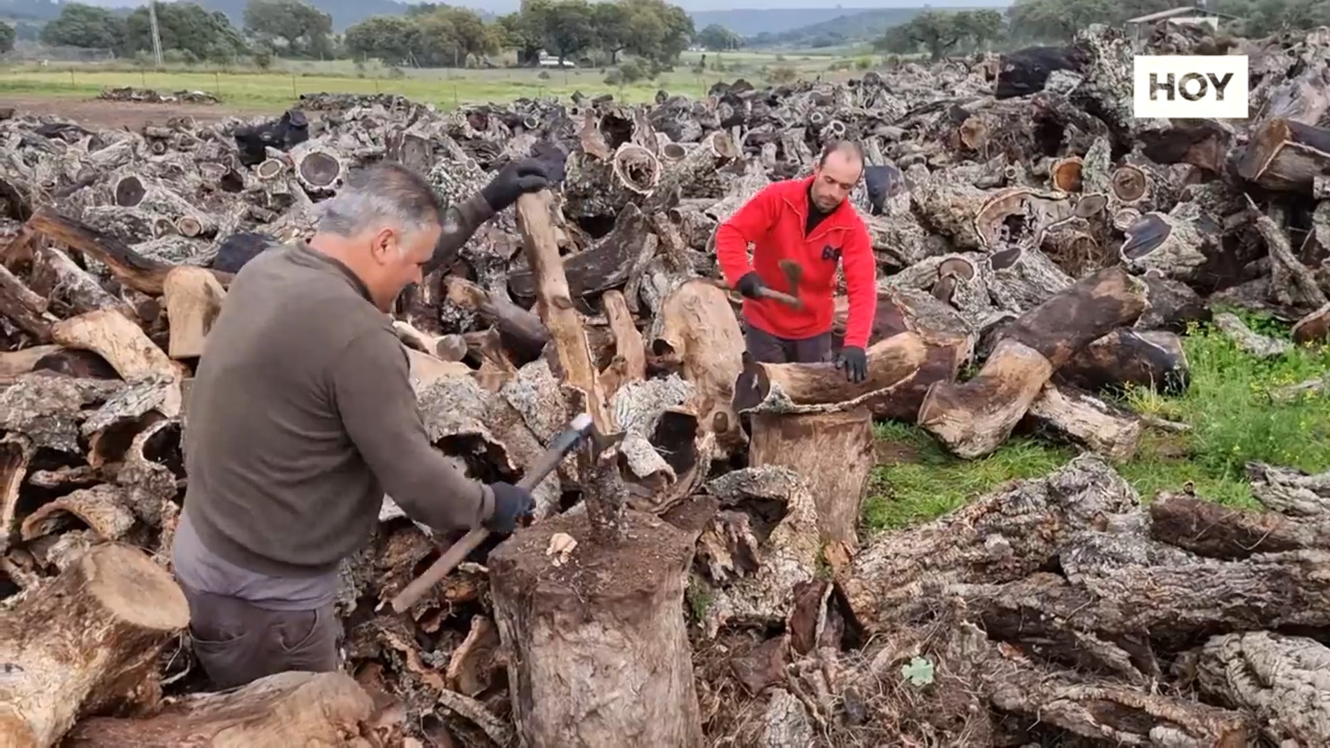 Ganas de carbón para las barbacoas que se avecinan​  Ganas de carbón para las barbacoas que se avecinan​