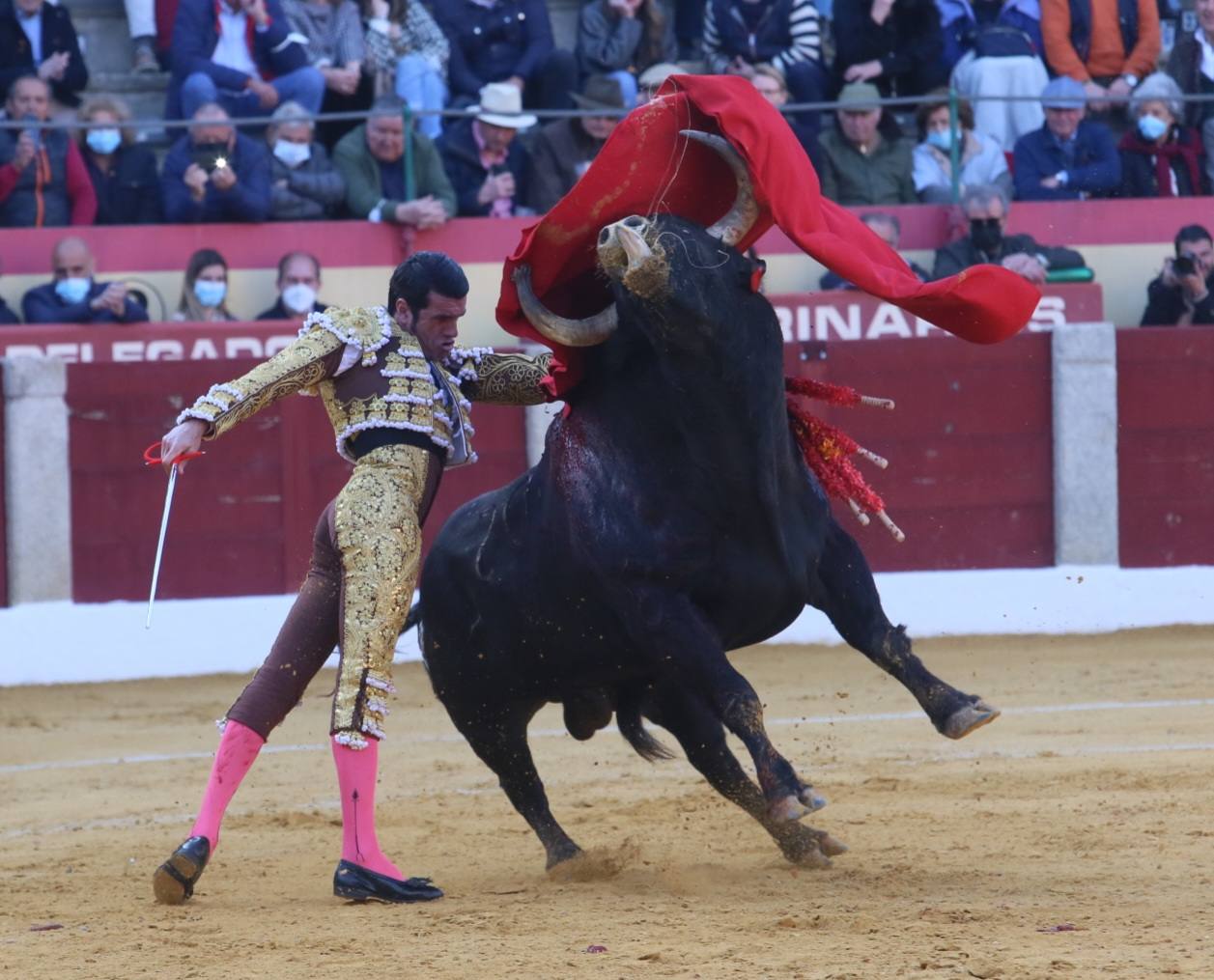 Fotos: Morante, Roca Rey de Emilio de Justo salen a hombros en Almendralejo