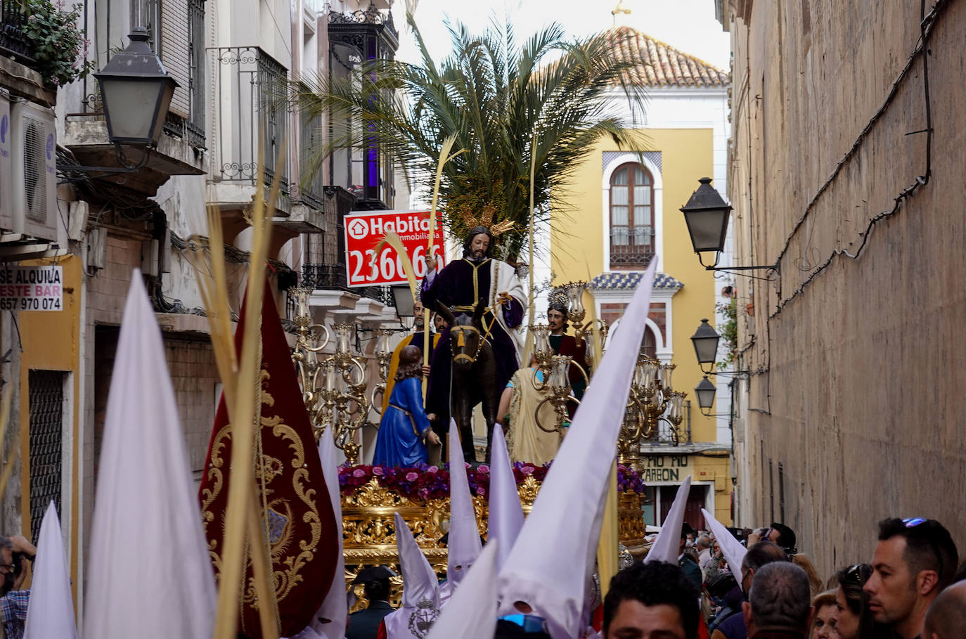 Fotos: Procesión de La Borriquita en Badajoz este Domingo de Ramos