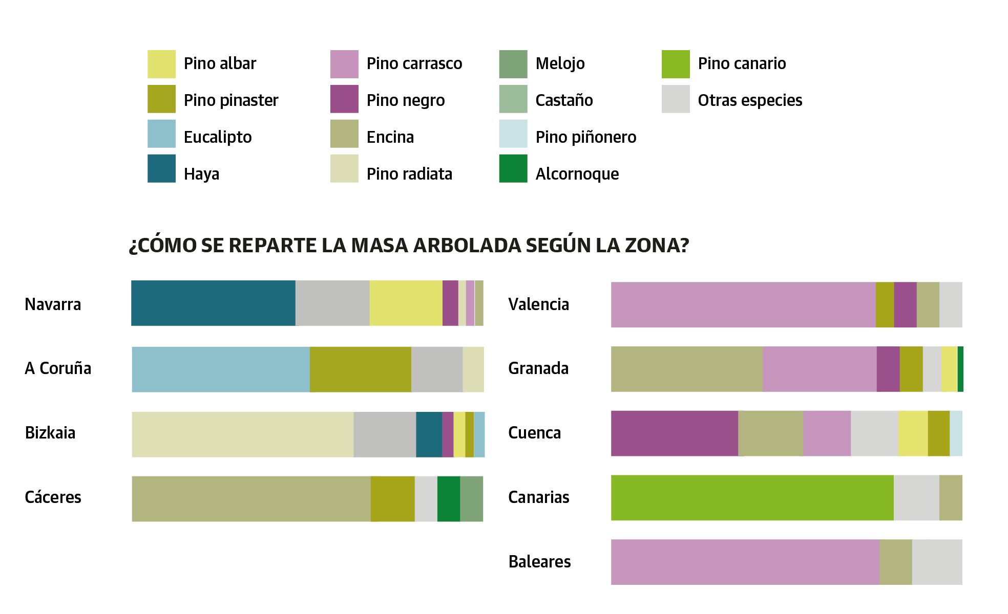 Scroll Story imagen 1