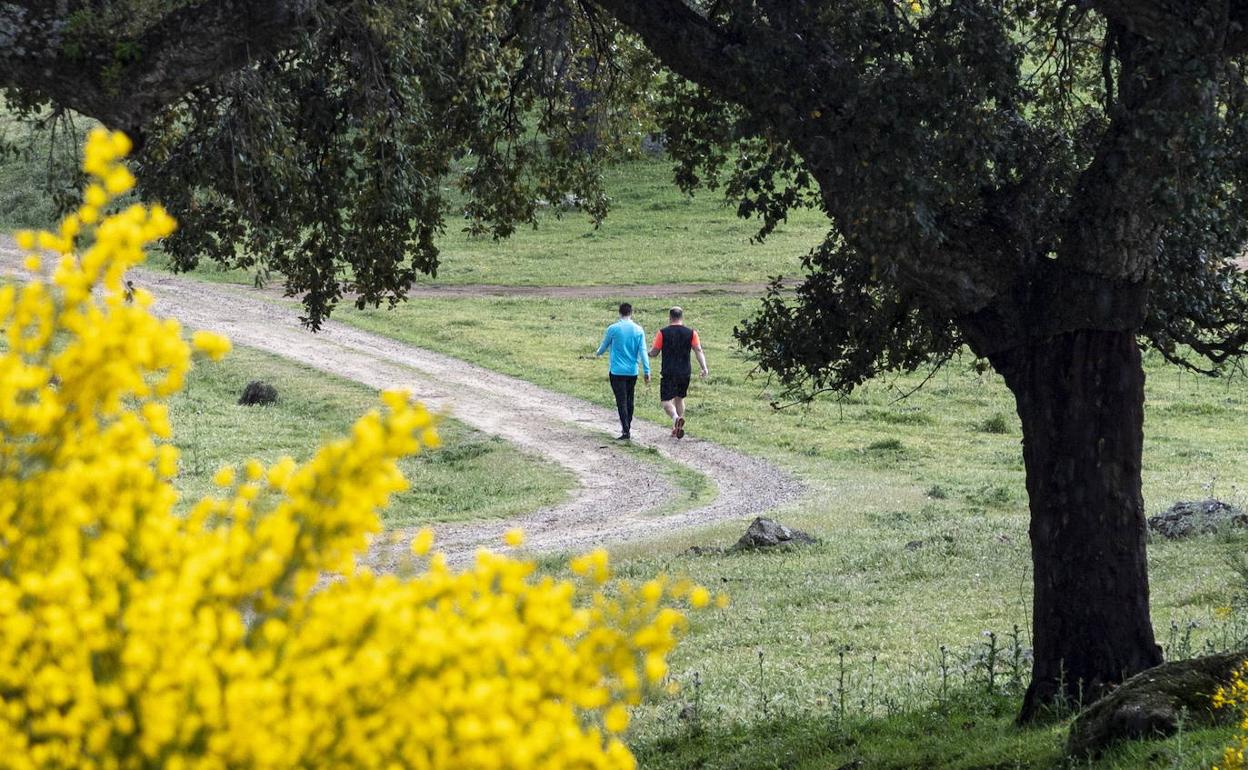 Circuito conocido como 'La pera', que está más allá de la ermita de la patrona y es muy usado por senderistas, corredores y ciclistas. Ahí fue localizado el coche en el que viajaba la mujer que hizo gestos al vehículo policial.