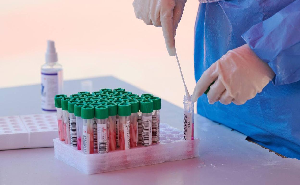 Una enfermera realiza una prueba de antígenos.