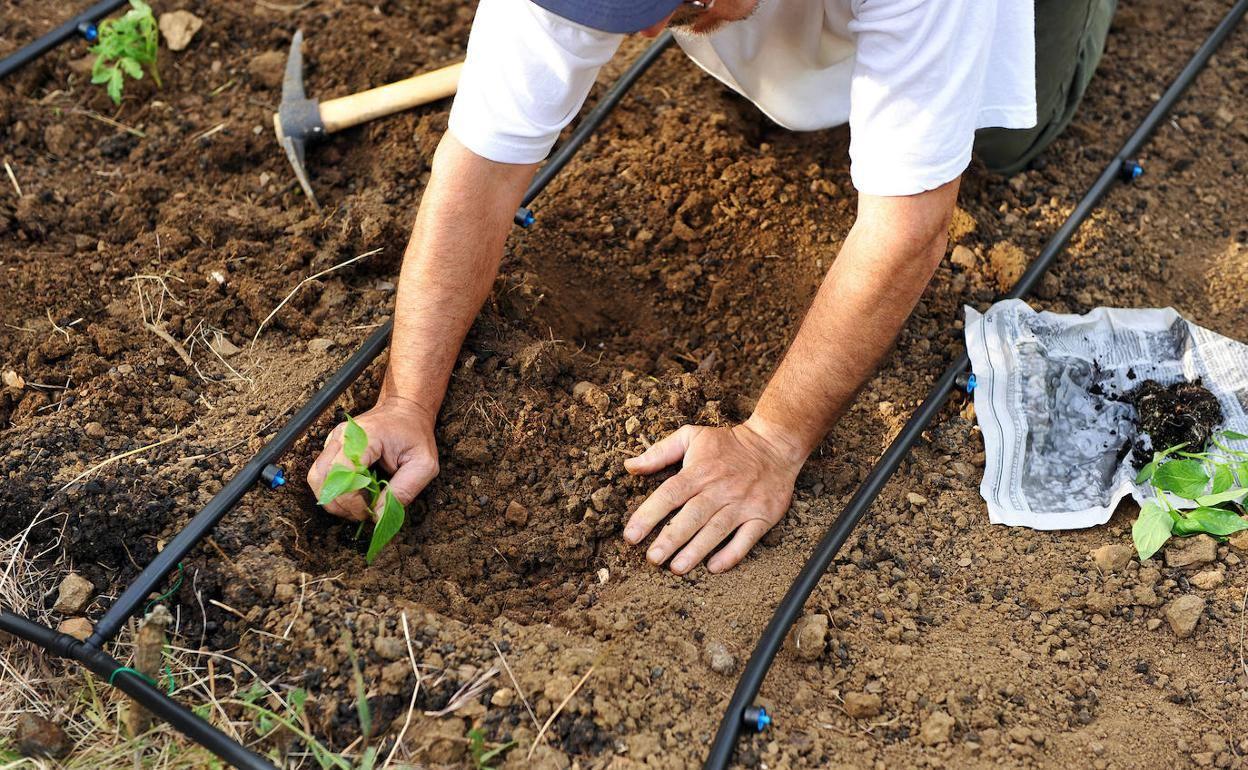 Los agricultores piden ayudas para paliar las limitaciones de riego tras la sequía