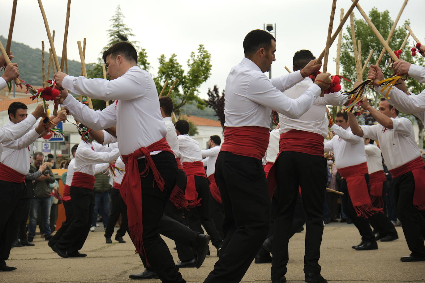 Fotos: Fiesta de la Jara en Flor, día grande de La Siberia