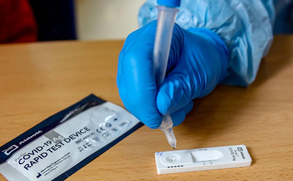 Coronavirus en Extremadura: Extremadura registra 24 muertes, 10 más que hace una semana, y 126 ingresados