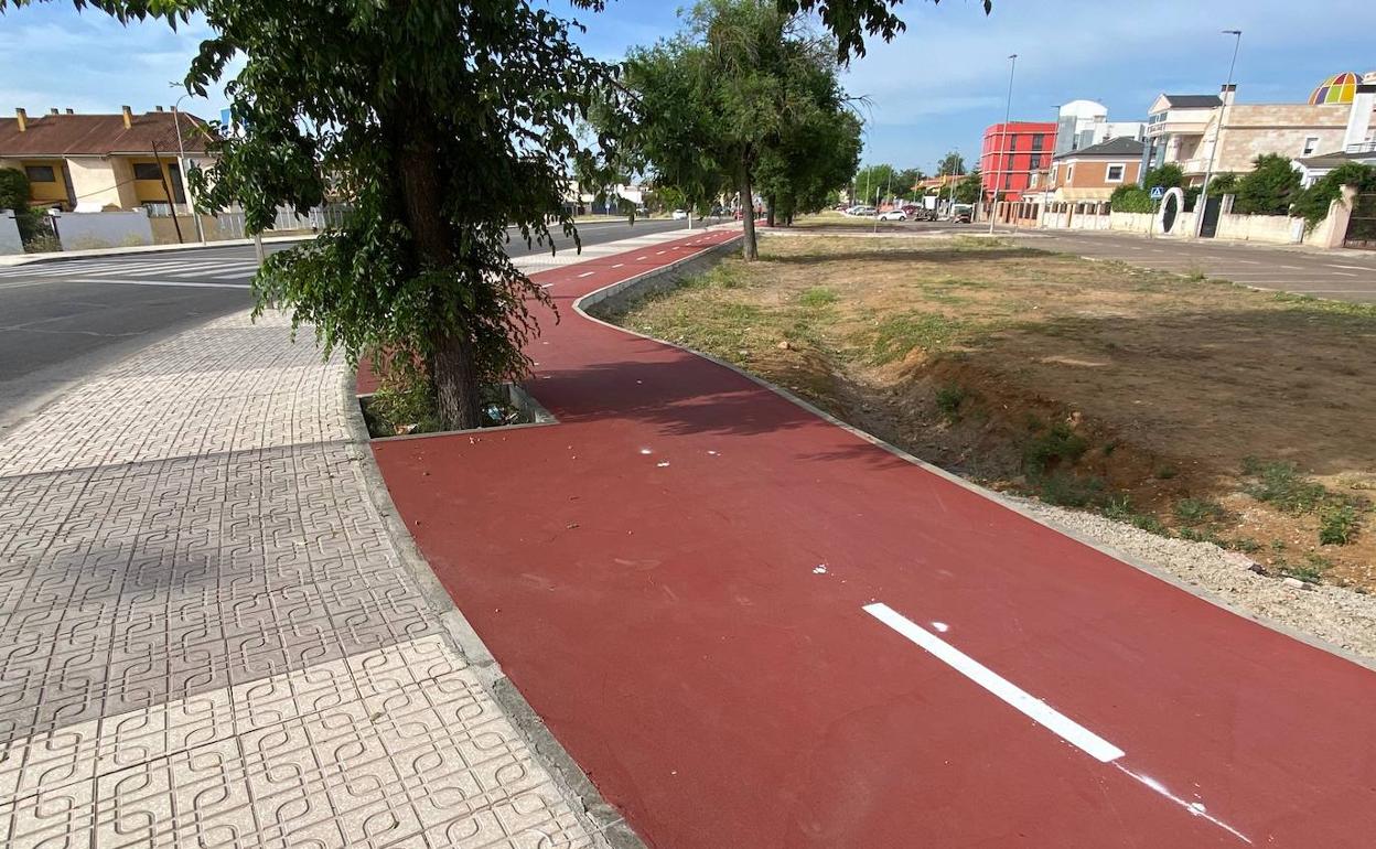 Un árbol en el nuevo carril bici del Seminario