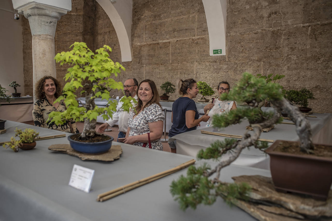 Exposición de bonsáis en La Galera.