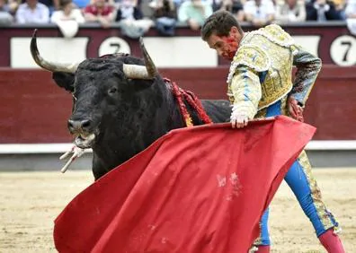 Imagen secundaria 1 - Toros | San Isidro: El torero extremeño Ginés Marín, grave tras ser corneado en Las Ventas