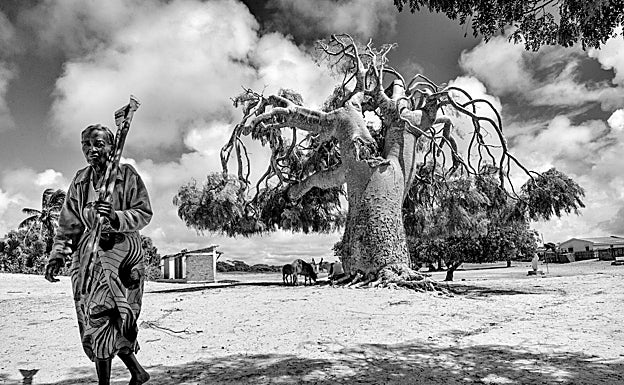 Sequía en Madagascar durante 2021. 
