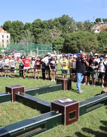 Imagen secundaria 2 - El programa educativo PROADES consigue llegar a 1.883 alumnos en este curso escolar