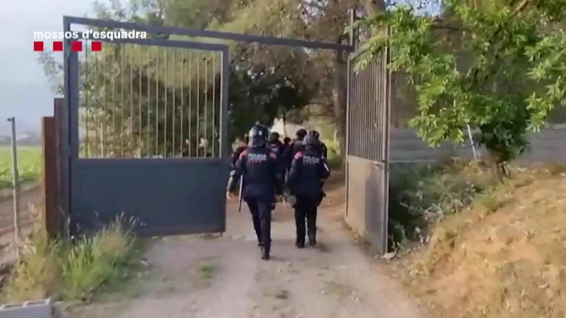 Los Mossos d'Esquadra detienen a cinco personas y desmantelan dos plantaciones de marihuana en el Baix Penedès