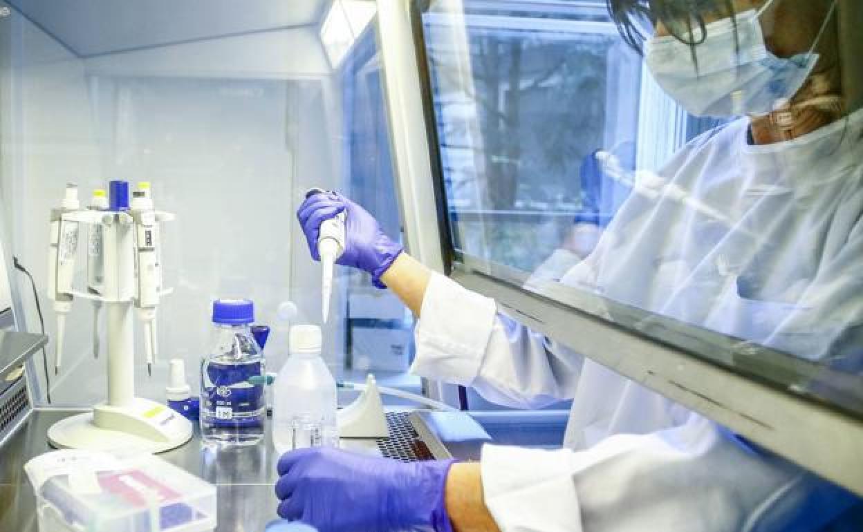 Extremadura, pendiente del laboratorio de Majadahonda para confirmar un caso de viruela del mono