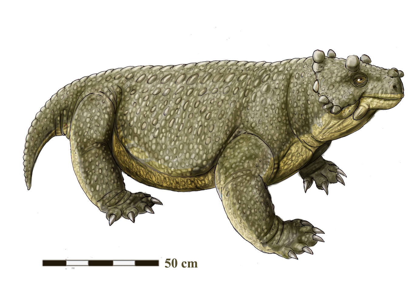 Imagen secundaria 1 - Animales de distintos periodos prehistóricos: mamut lanudo, bunostegos y dinosaurio.