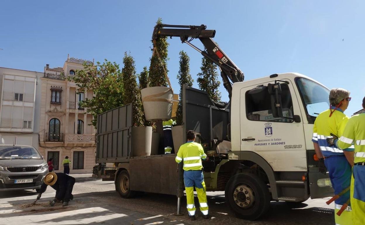 Badajoz: Retiran los maceteros de San Andrés porque se han secado los árboles