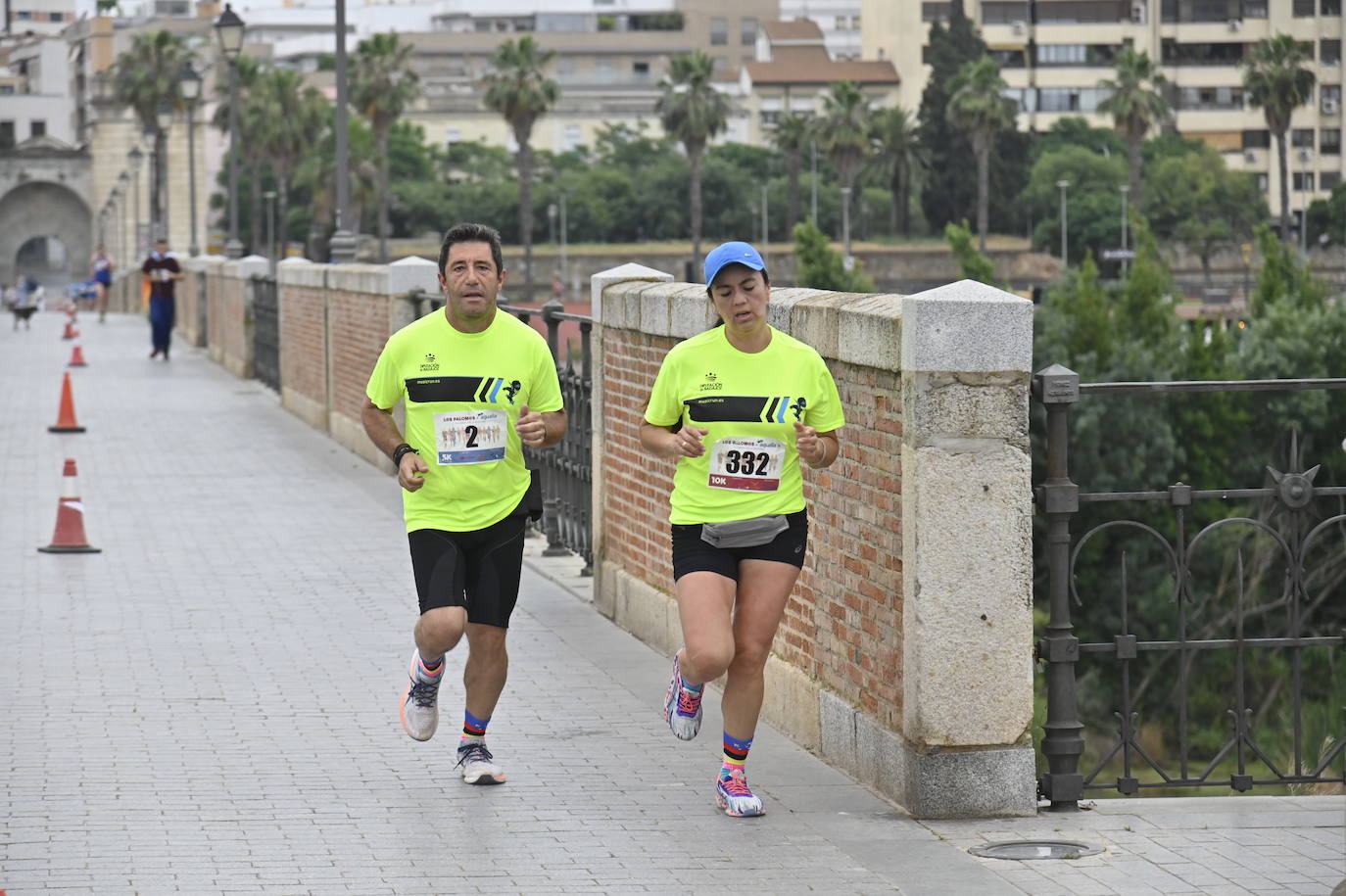 Fotos: FIesta en la VI Carrera por la Diversidad &#039;Los Palomos-Aqualia&#039; de Badajoz