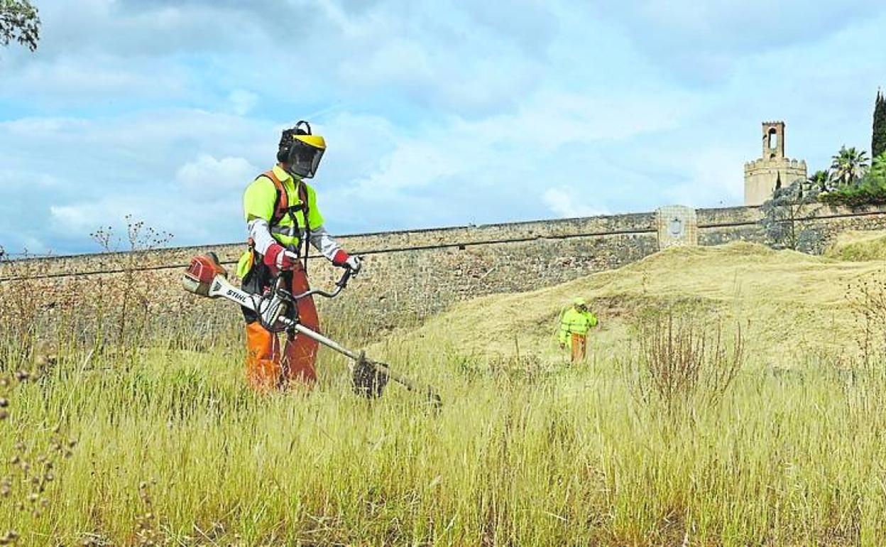 Operarios realizando el desbroce de las laderas. 