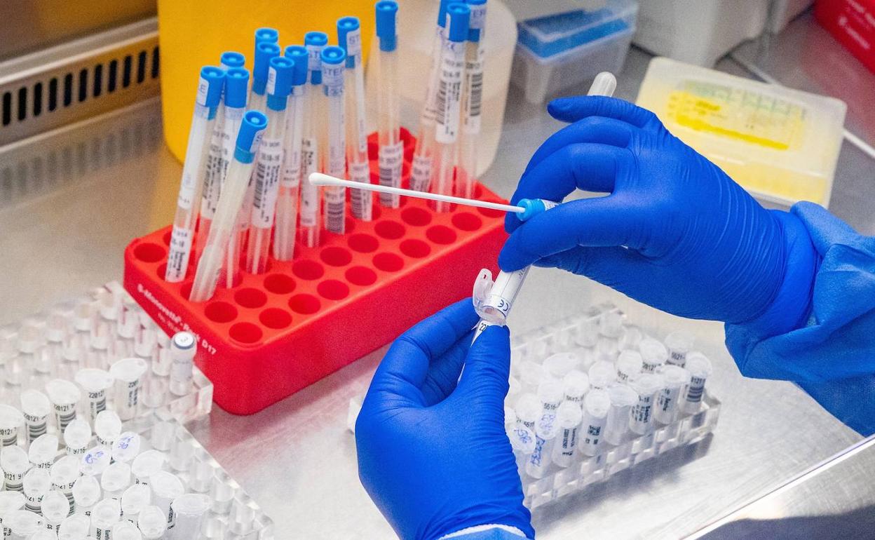Coronavirus en Extremadura : 20 fallecidos por covid en la última semana, entre ellos un hombre de 39 años de Llerena