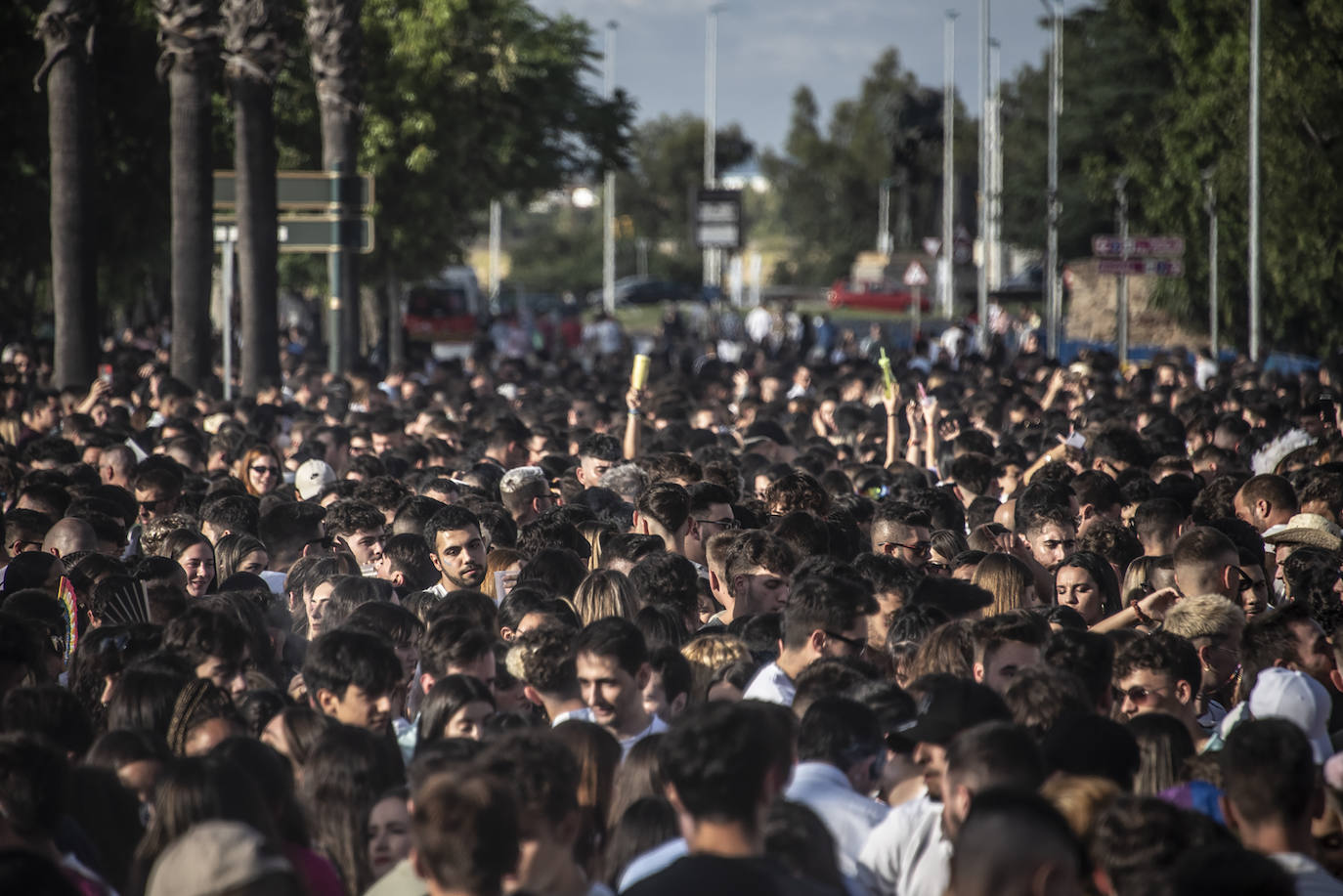 Fotos: Ambiente de este sábado en Badajoz por la fiesta de Los Palomos