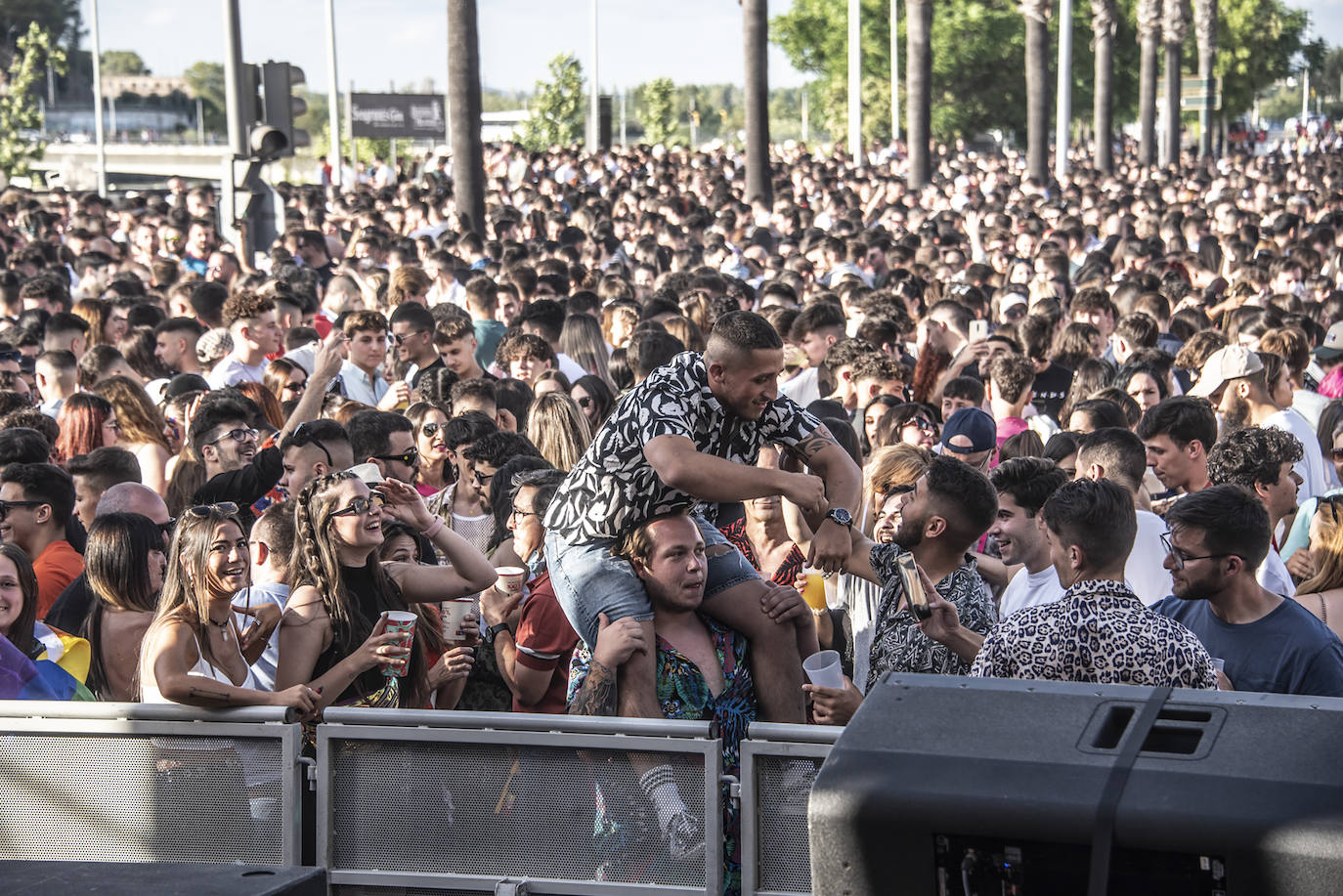 Fotos: Ambiente de este sábado en Badajoz por la fiesta de Los Palomos