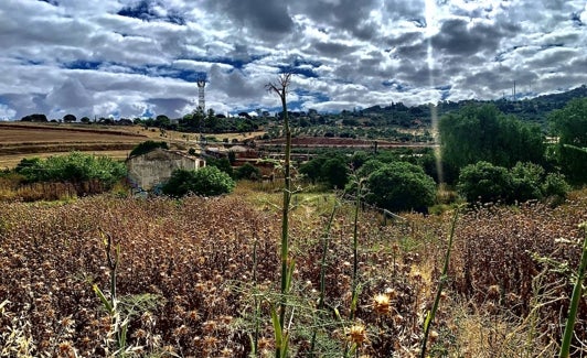 Inmediaciones de la Ribera del Marco. 
