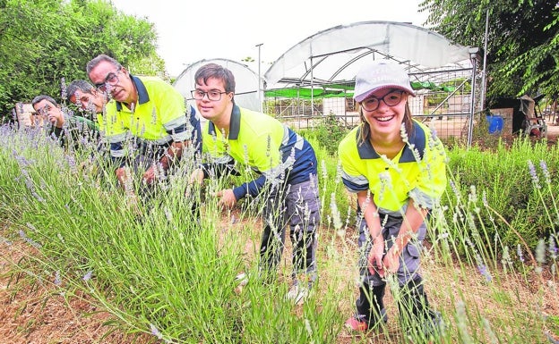 Jóvenes participantes en el huerto de plantas aromáticas puesto en marcha por Down Cáceres. 